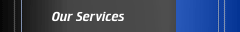 Our Services